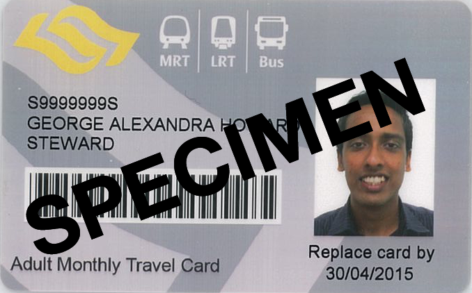 adult travel card